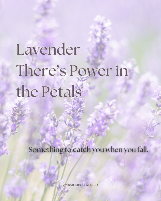 There's Power in The Petals: The Story Behind Lavender with Heart & Havoc
