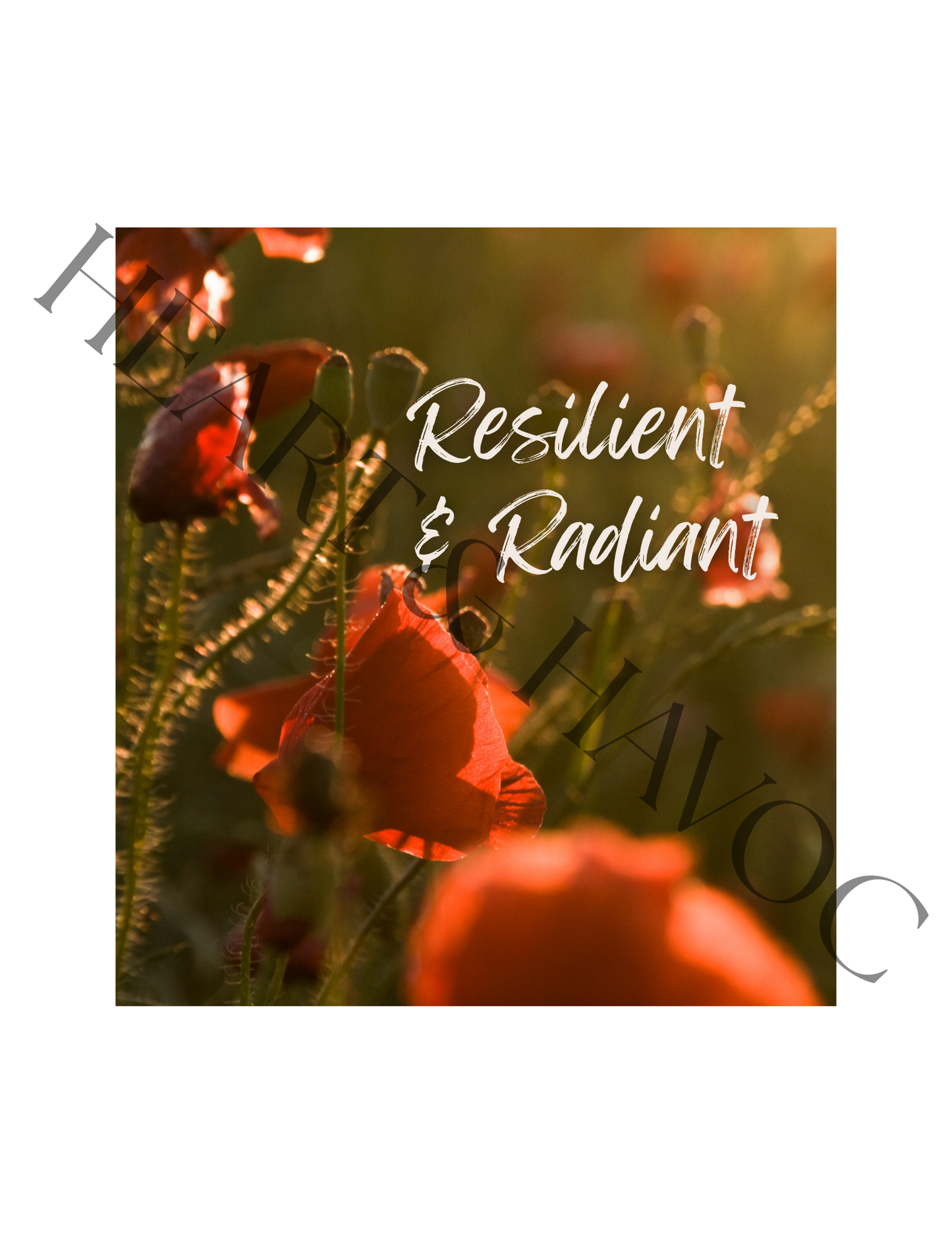 Affirmation Ritual Air Freshener – Botanical Blend for Daily Reset