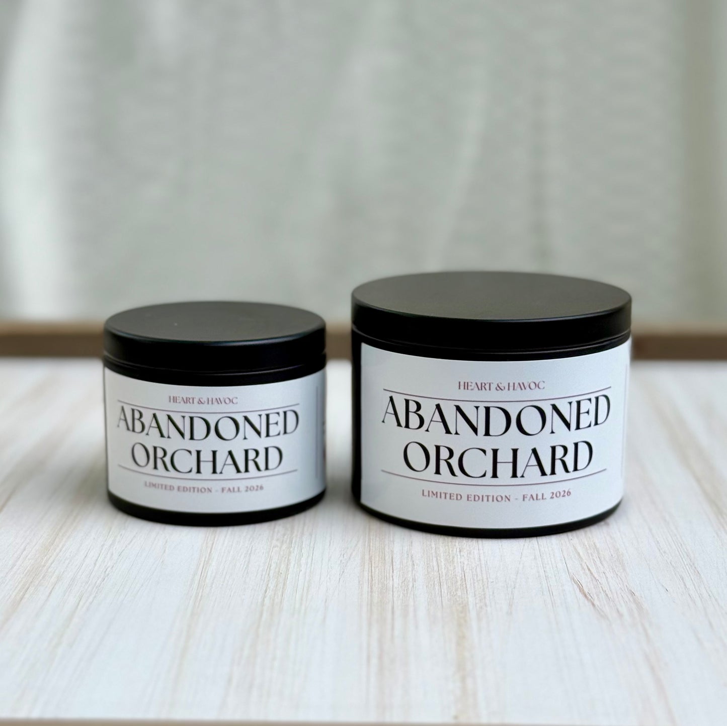 Abandoned Orchard | Fall 2026 Collection